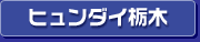 �q�����_�C�Ȗ�