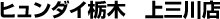 �q�����_�C�Ȗ؁@��O��X