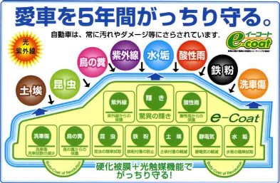 愛車を5年間がっちり守る