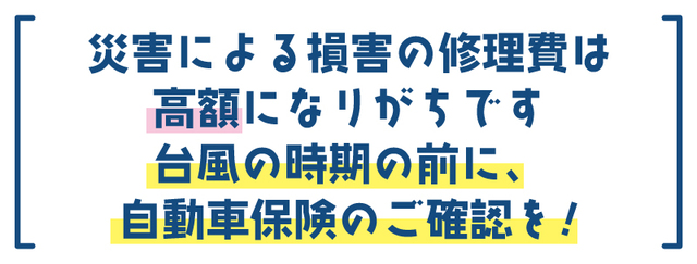 災害による損害の修理費は高額になりがちです台風の時期の前に、自動車保険のご確認を!